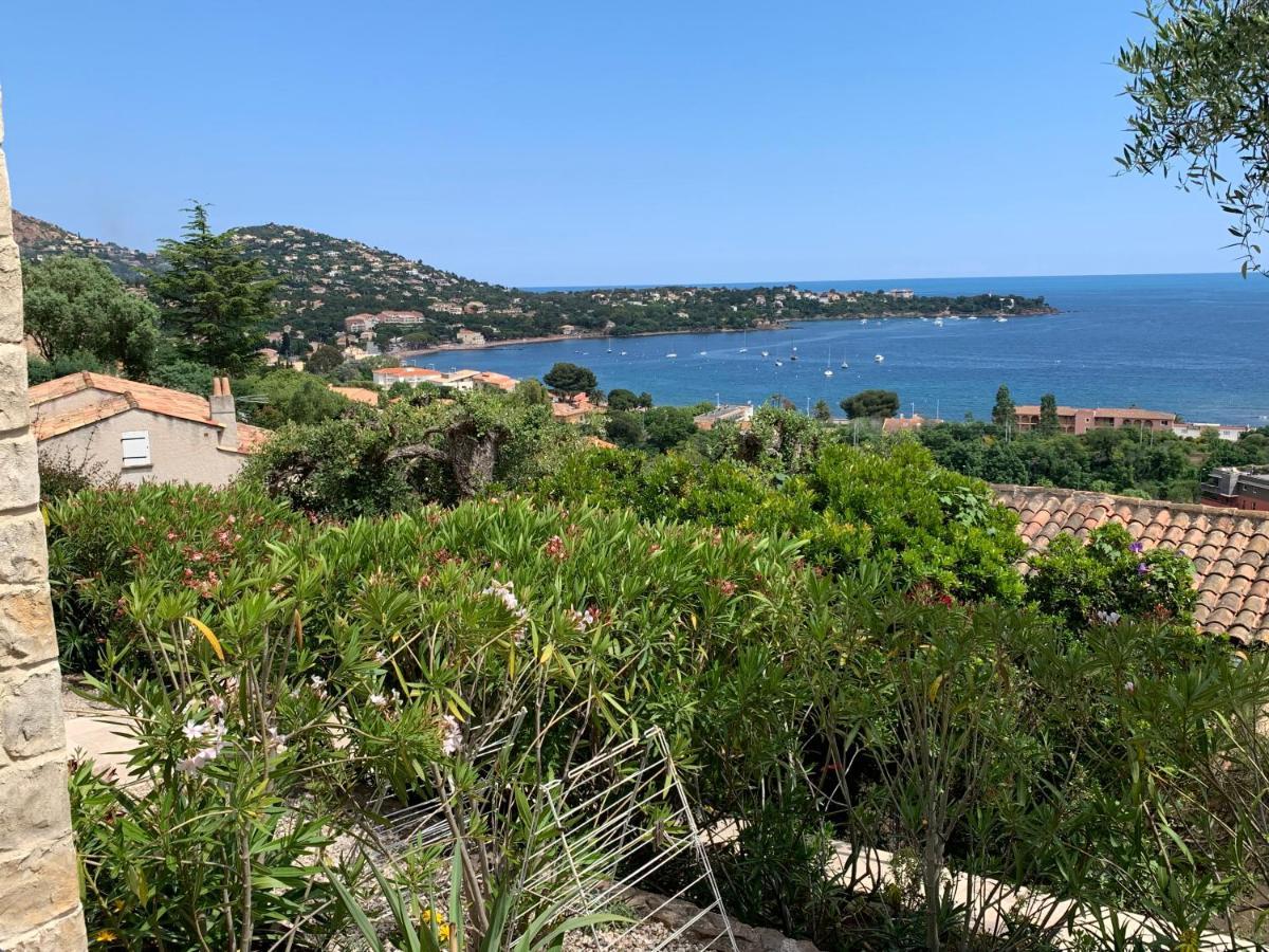 Villa Grand Baie Saint-Raphael  Ngoại thất bức ảnh