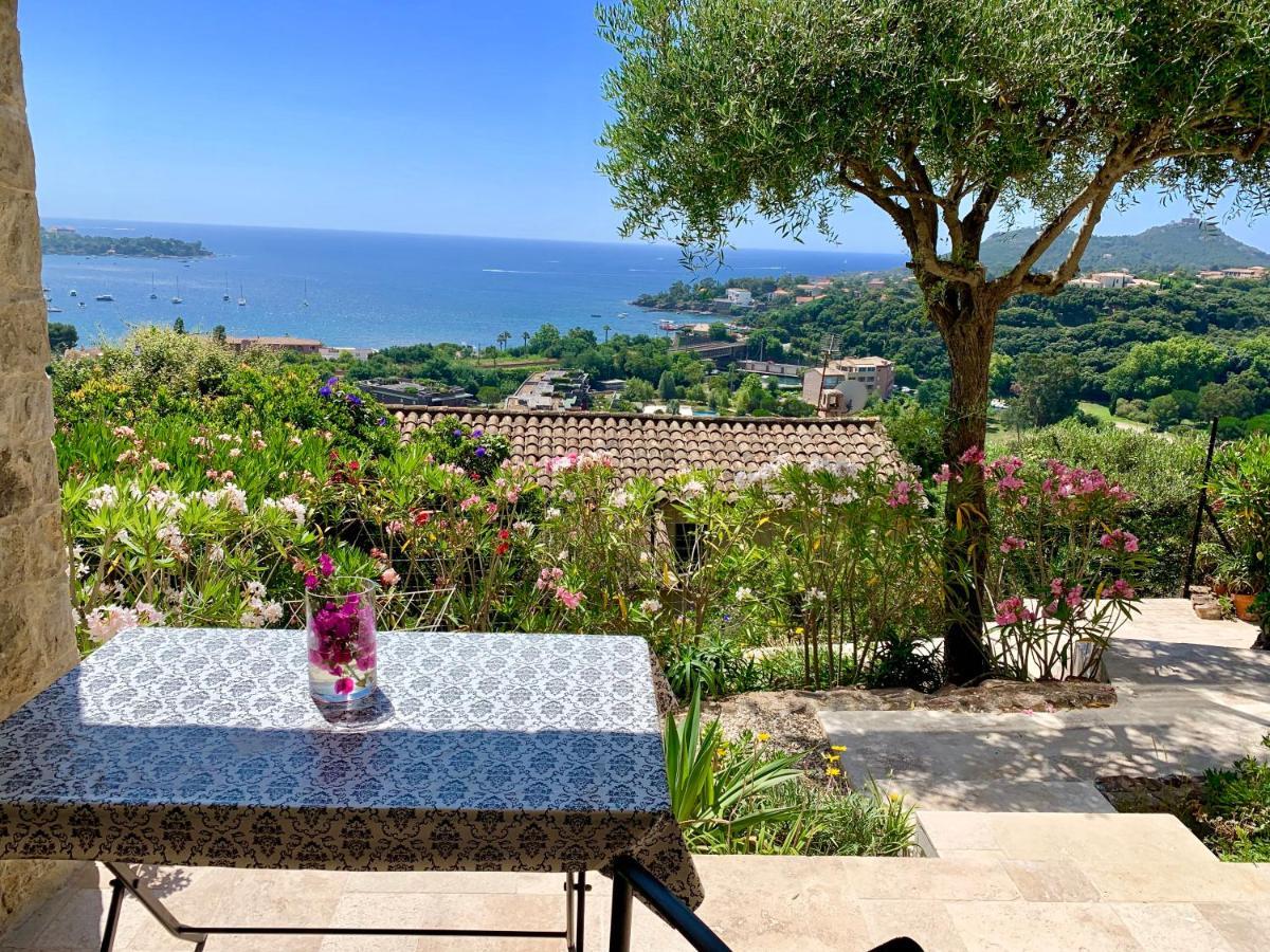 Villa Grand Baie Saint-Raphael  Ngoại thất bức ảnh